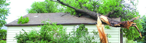 Faulk County Record Wednesday, June 13, 2018 – Volume 136, Number 24