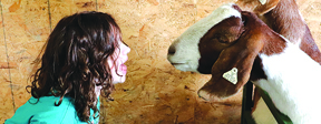 Faulk County Record Wednesday, May 15, 2019 – Volume 137, Number 20